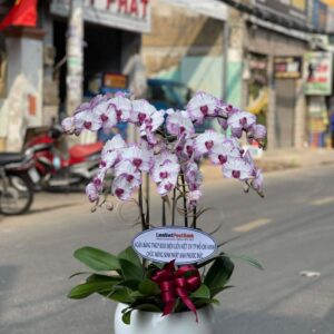 Thiên niên vạn lộc 01