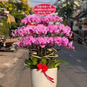 Lộc trường phát 04