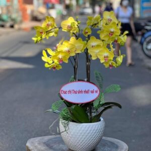 Thiên niên vạn lộc 03